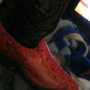 Red and Black snake skin